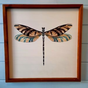 Dragan fly pictures